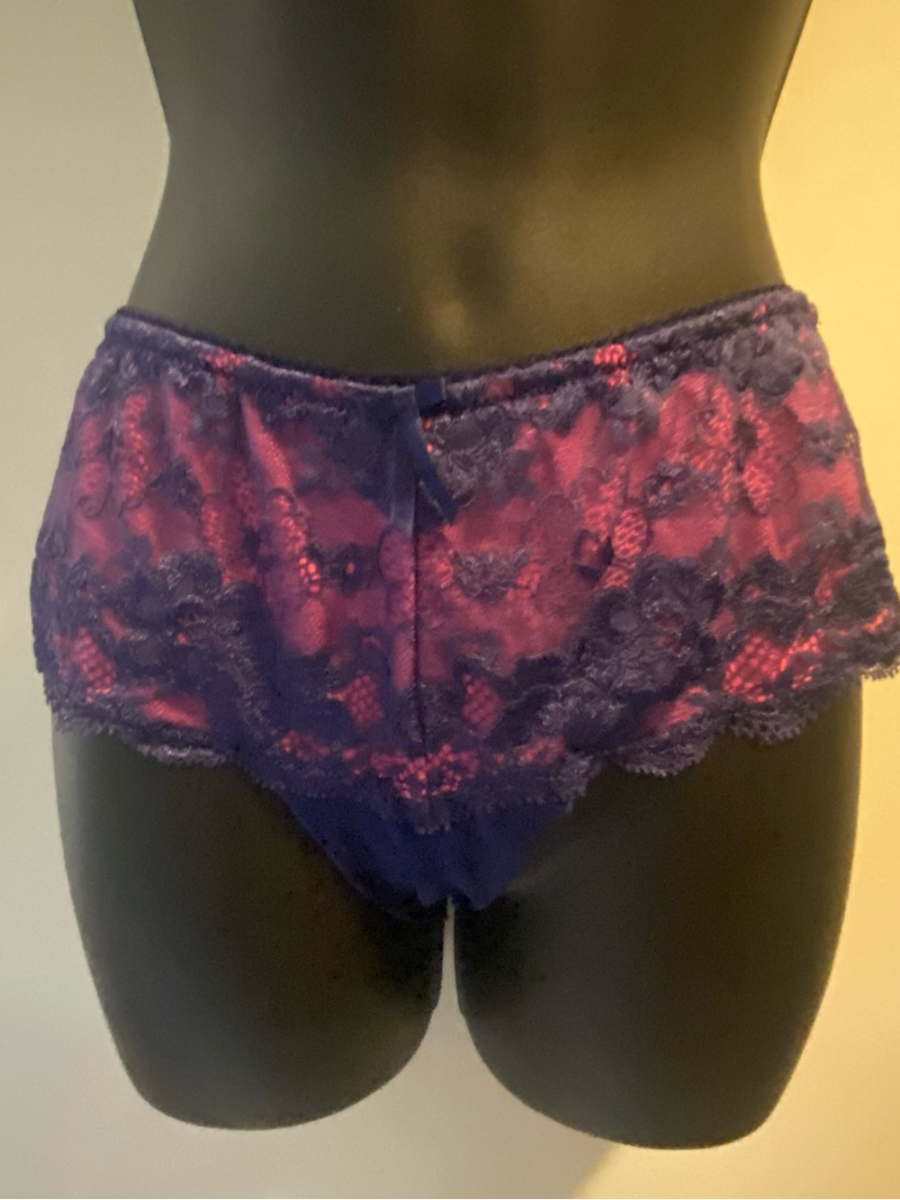 NWT Pour Moi Amour Shorty in Pink with Blue Lace Overlay